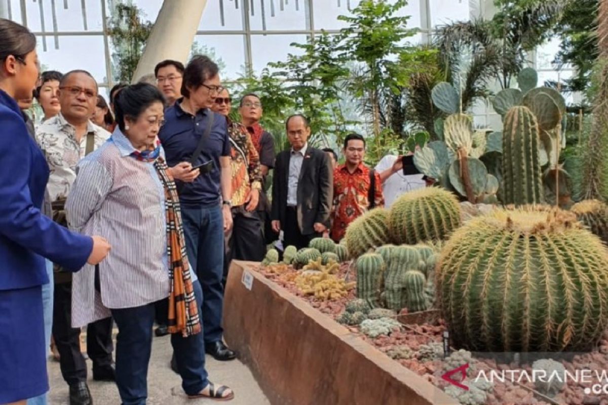 Presiden RI kelima Megawati sempatkan kunjungi Beijing World Holticultural Expo 2019