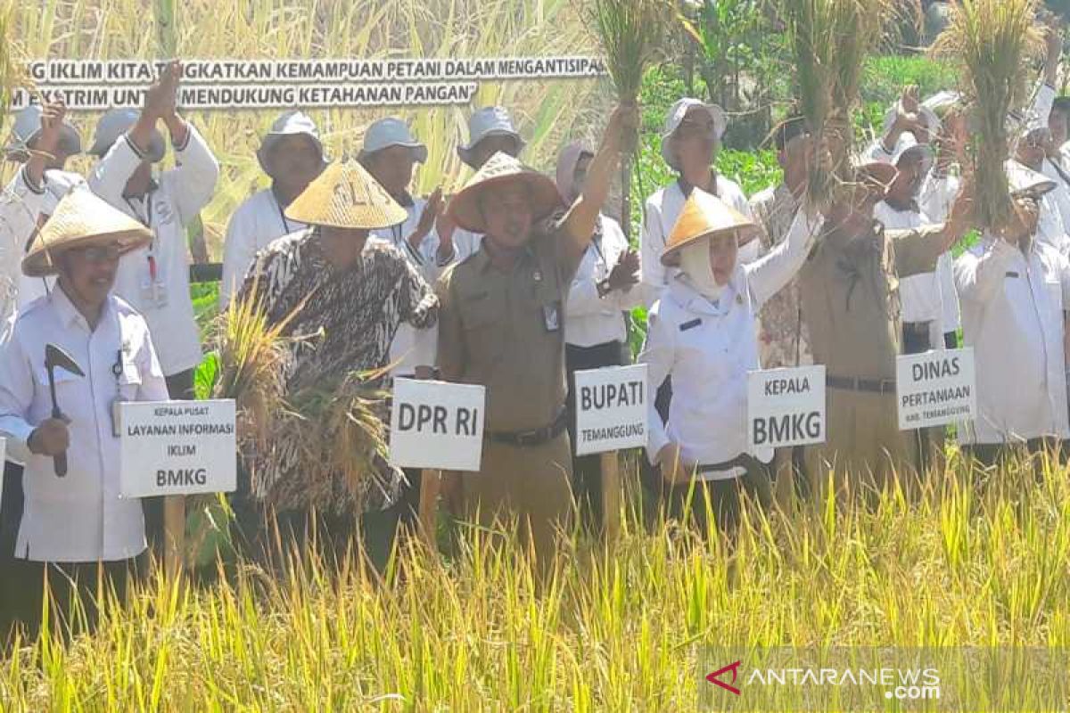 SLI di Temanggung tingkatkan hasil panen padi 9,7 persen