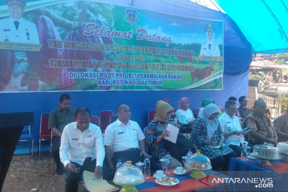 Tim Kementan kunjungi proyek percontohan Kakao Kolaka Timur