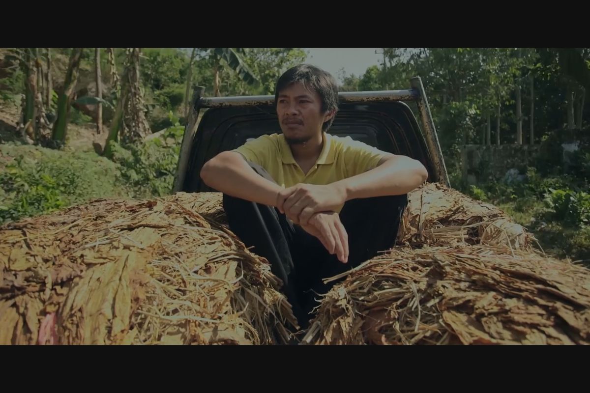 Kisah petani tembakau Jember diangkat ke layar lebar