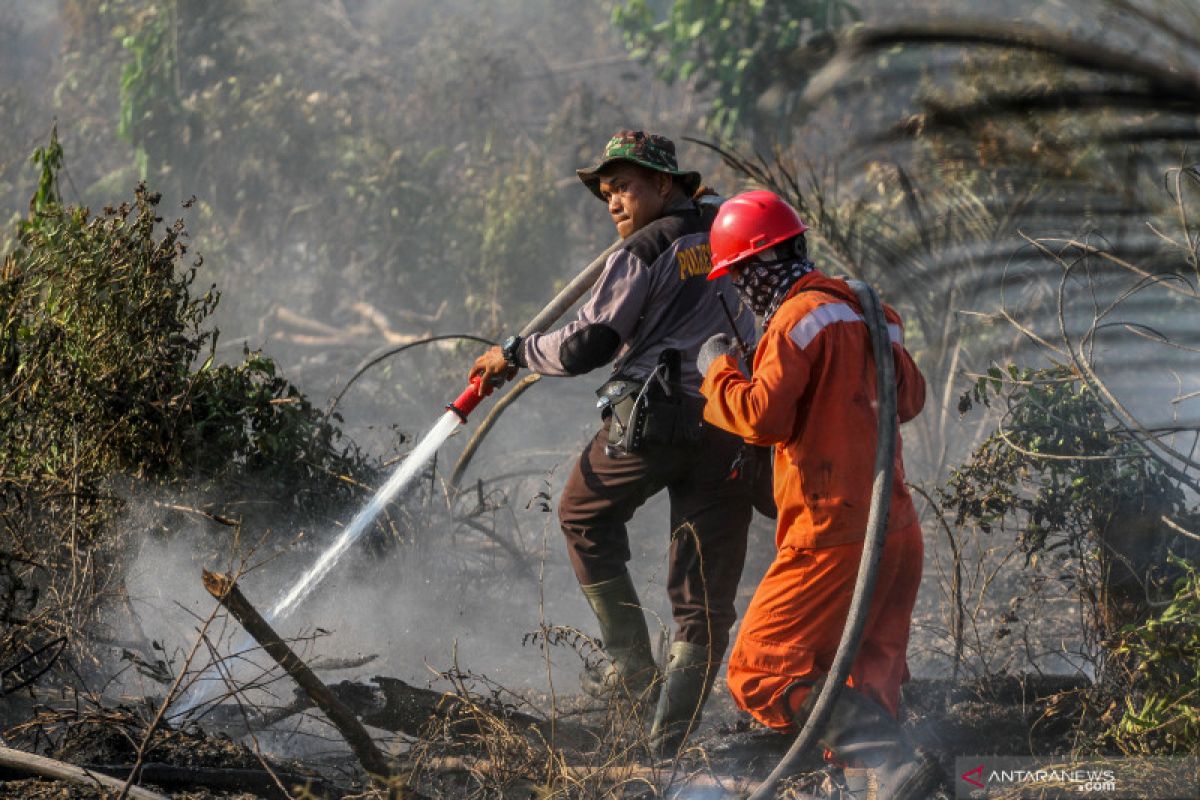 Dua hektare lahan gambut perbatasan Pekanbaru - Kampar terbakar