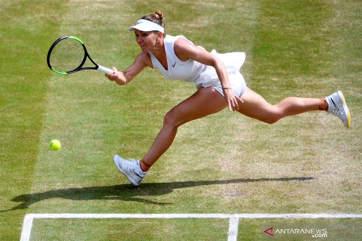 Bouzkova lolos di Toronto setelah juara Wimbledon Halep mundur