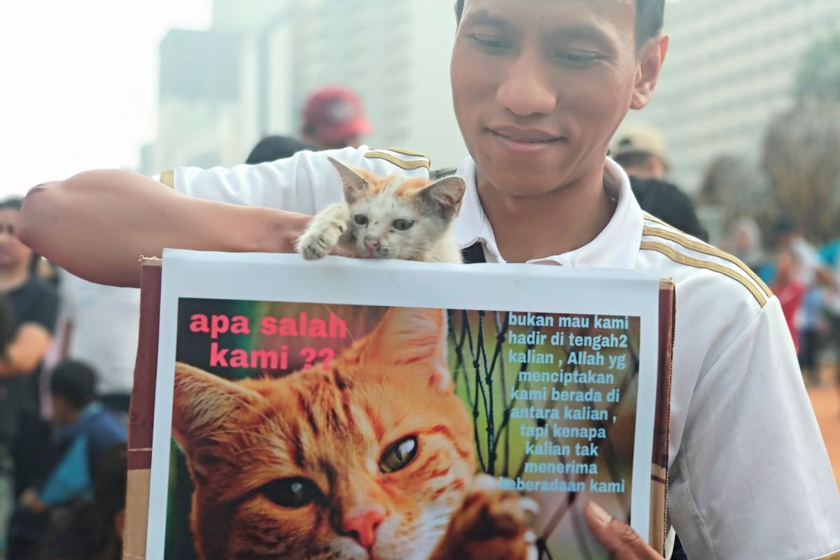 "KPK" ajak warga stop siksa kucing