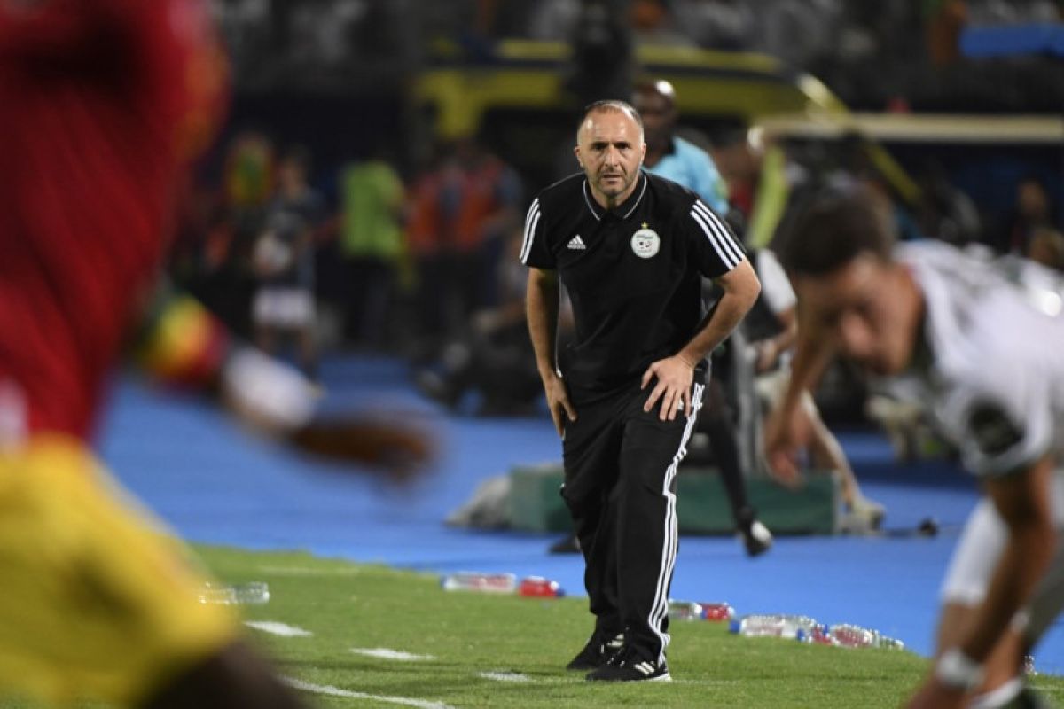 Belmadi ajak Afrika percayai pelatih lokal