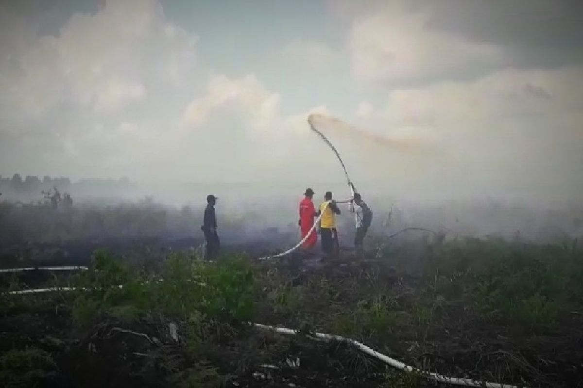 Kotim memerlukan helikopter pengebom air padamkan kebakaran lahan