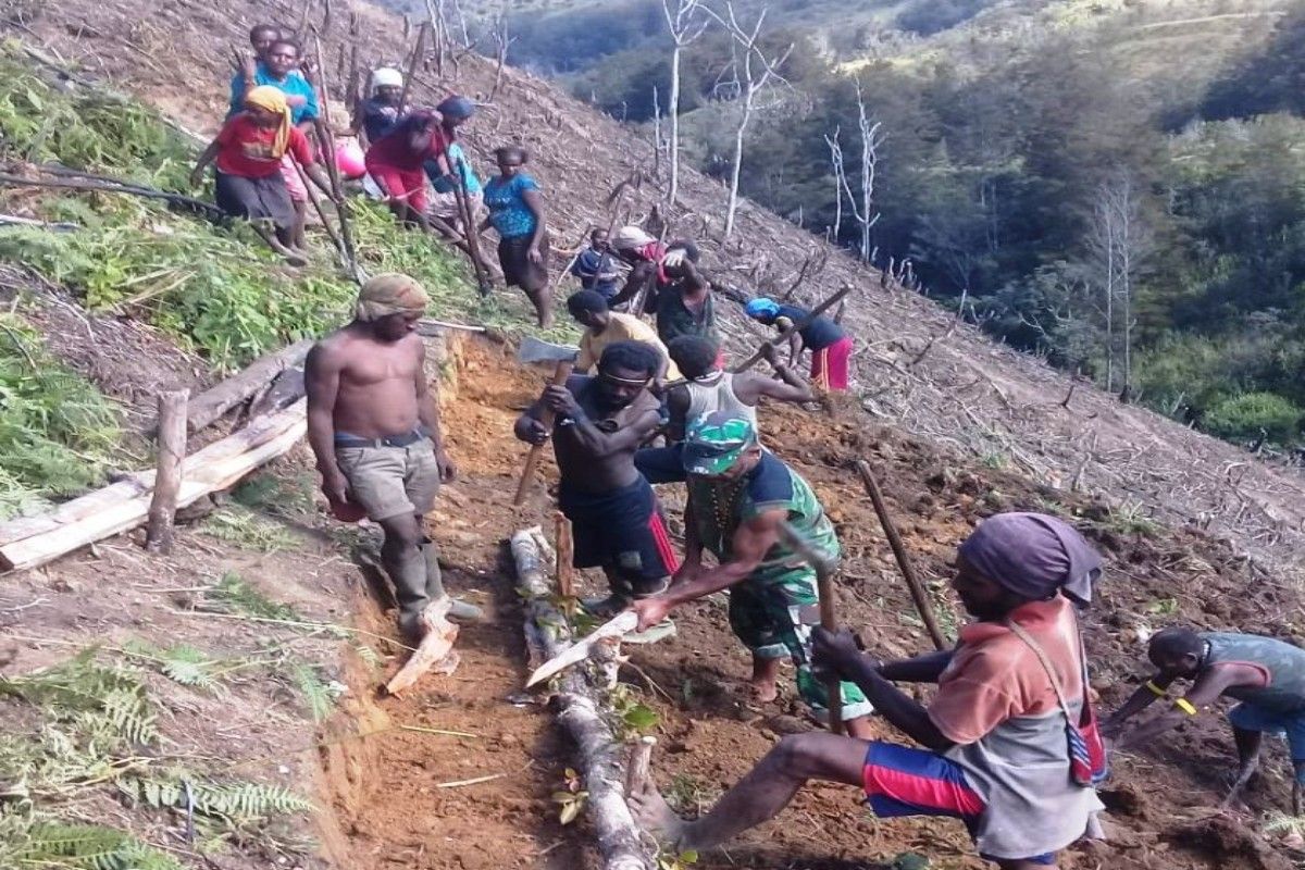 CIFOR: Masyarakat sangat butuh contoh nyata pembukaan lahan tanpa bakar