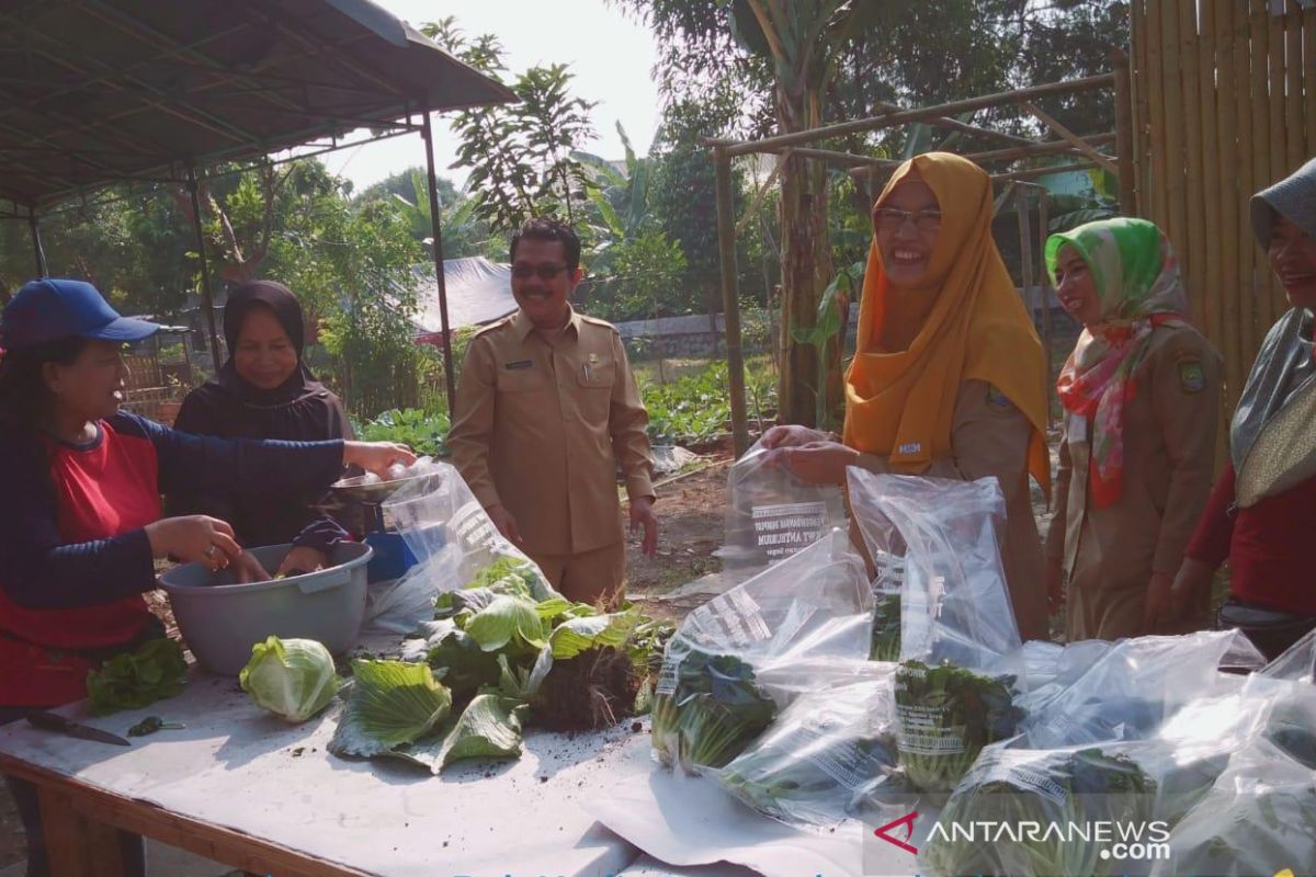 Kelompok tani wanita Tangerang produksi sayuran nonpestisida