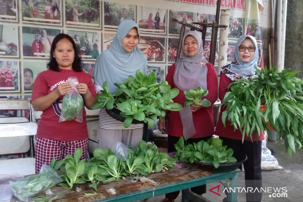 Sosok petani kota yang akan terbang ke Jepang