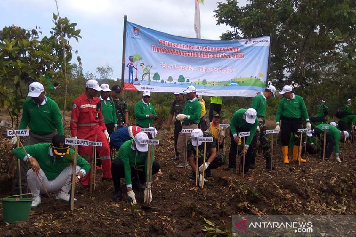 Kawasan Segara Anakan Cilacap ditanami 1.000 bibit mangrove (VIDEO)