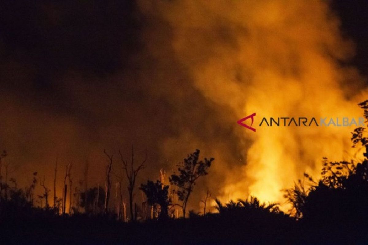 Gara-gara kebakaran hutan-lahan, perusahaan sawit di Semitau disegel polisi