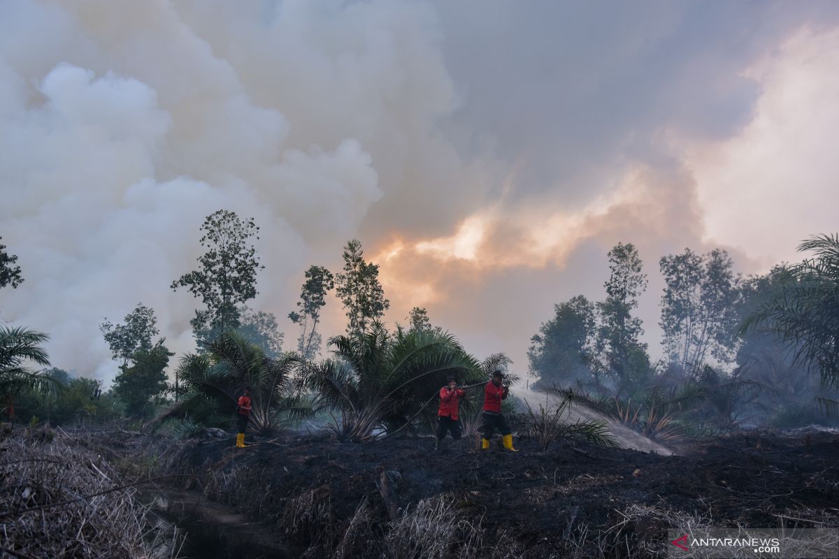 Satgas tingkatkan patroli cegah titik api di Taman Nasional Tesso Nilo