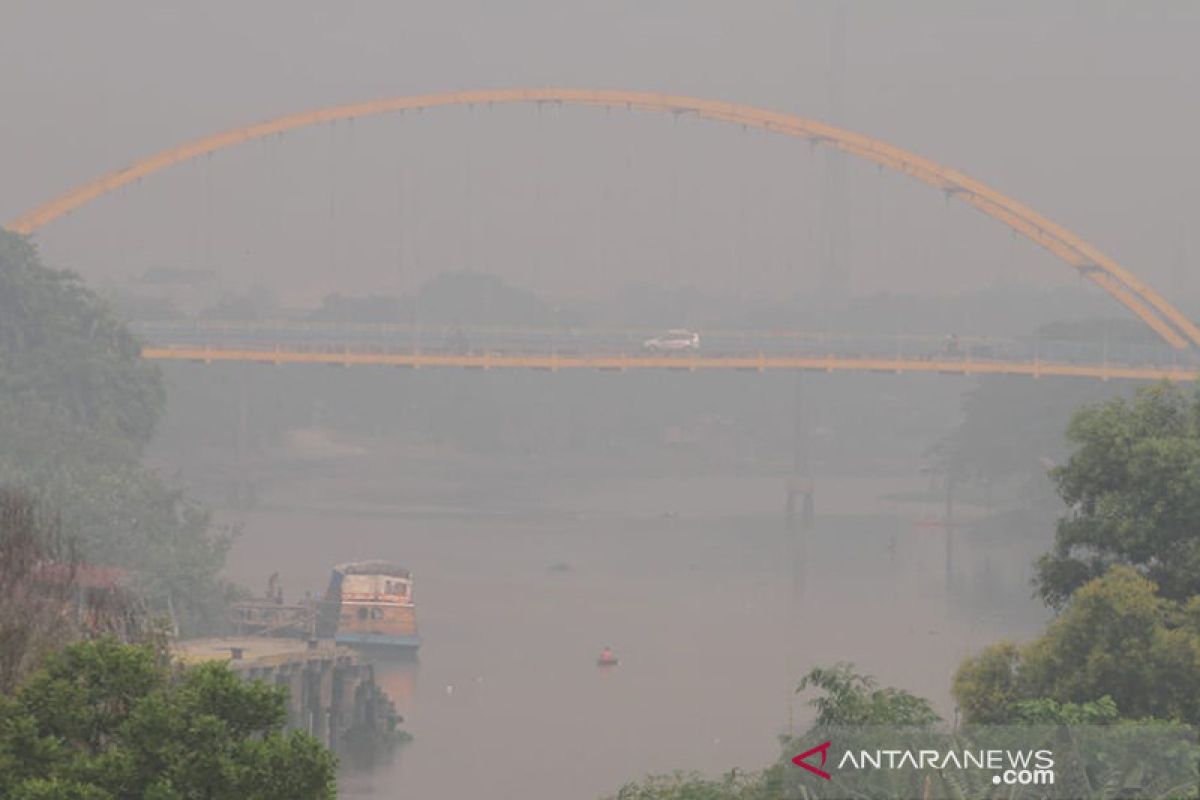 BMKG sebut kabut asap Pekanbaru akibat kebakaran lahan di Pelalawan, begini penjelasannya