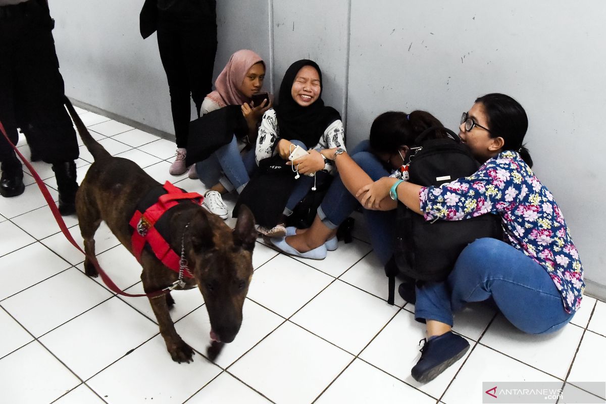 Pusaran  narkoba di lingkungan kampus di ibu kota  Jakarta