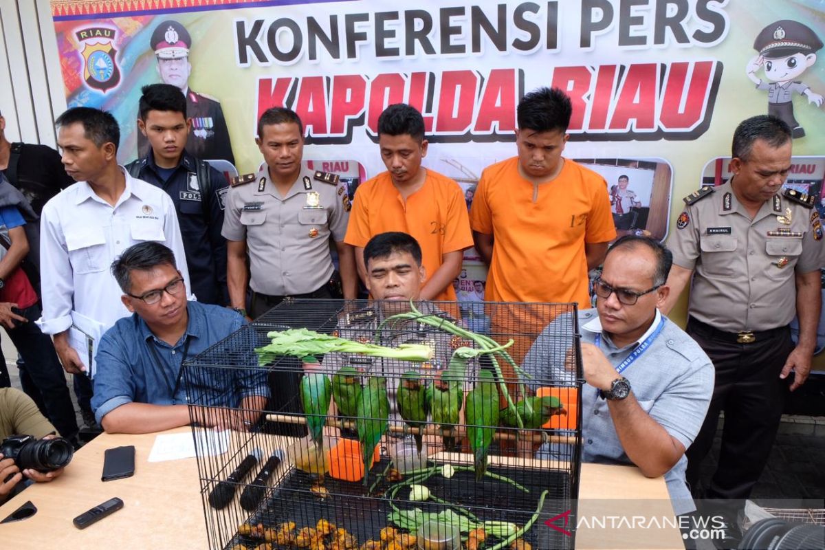 Patroli Siber Polda Riau bongkar perdagangkan satwa dilindungi via Facebook