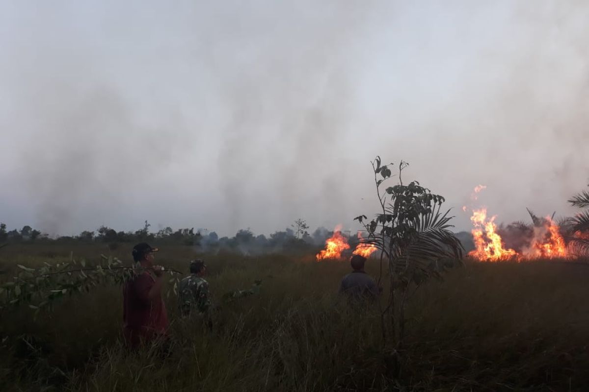 KLHK menindak tegas pelaku karhutla