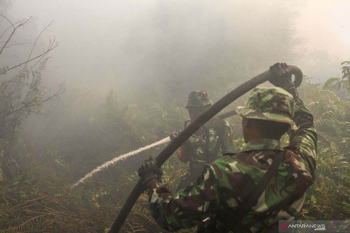 TNI minta jangan ada pembakaran lahan jelang HUT RI