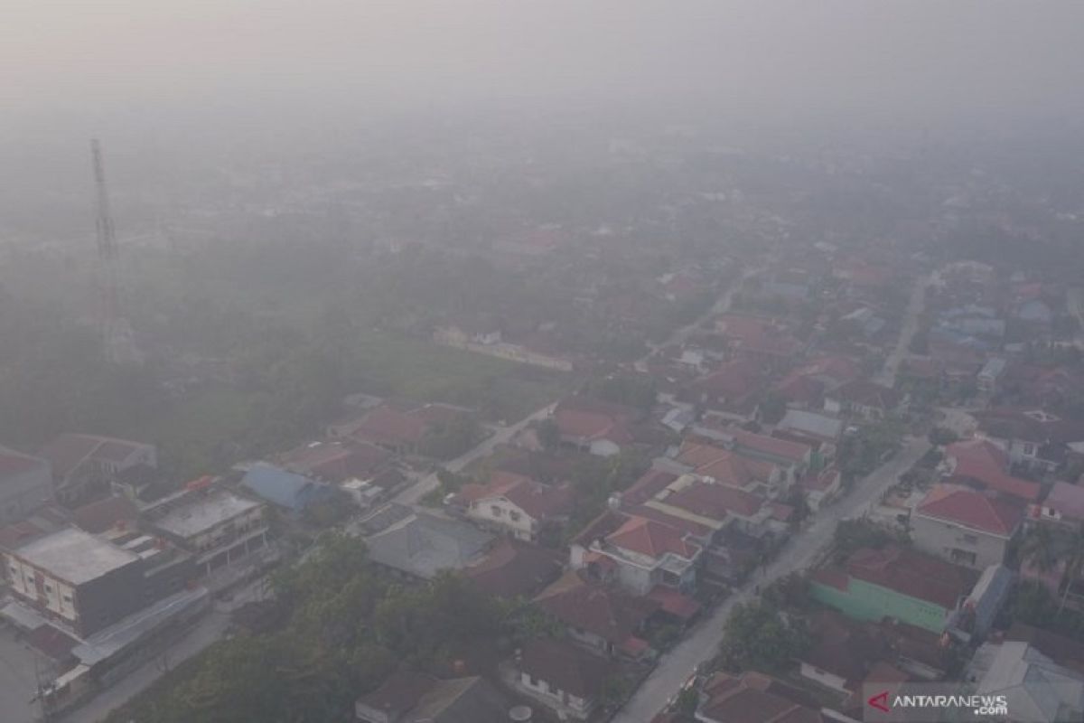 Kepala BNPB Doni Monardo yakin pembakar hutan dan lahan bisa disadarkan