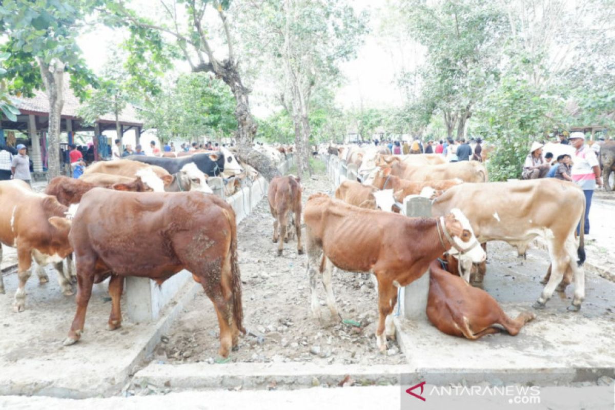 Masyarakat beli hewan kurban perlu disertai SKKH