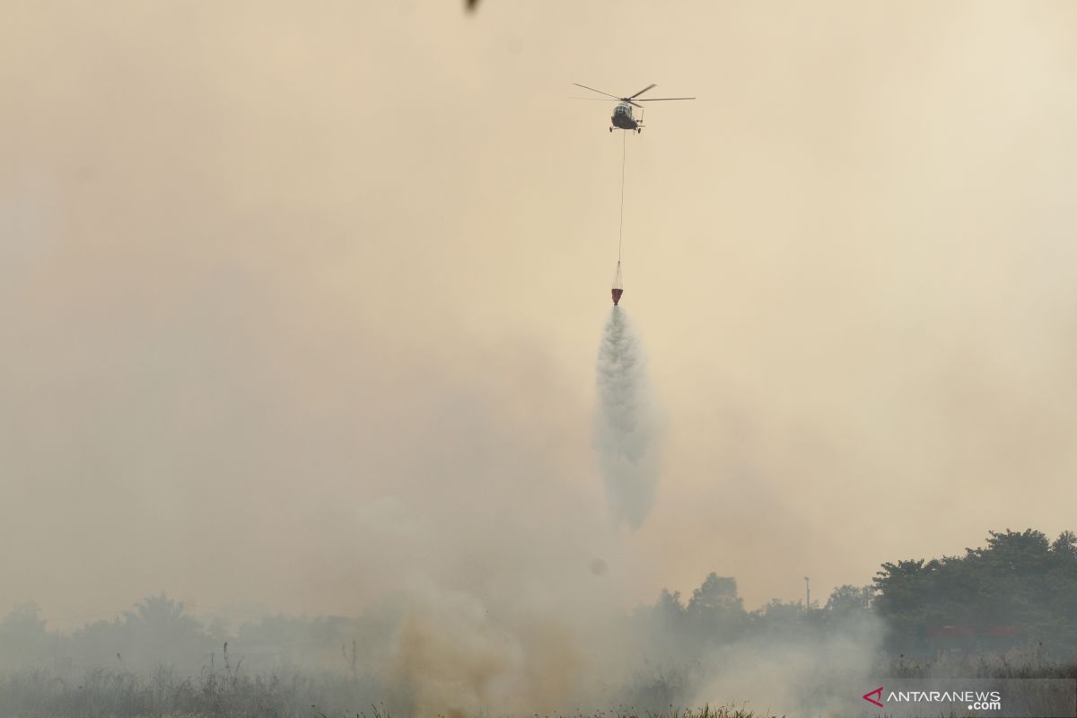 Udara Pekanbaru masih diselimuti asap Karhutla