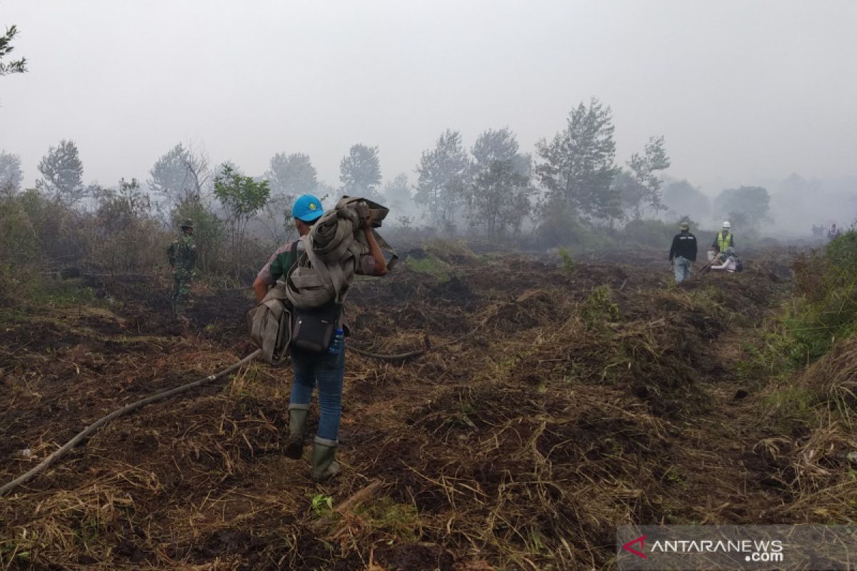 Enam kecamatan di Inhil pesisir Riau dilanda kebakaran lahan dan terus meluas