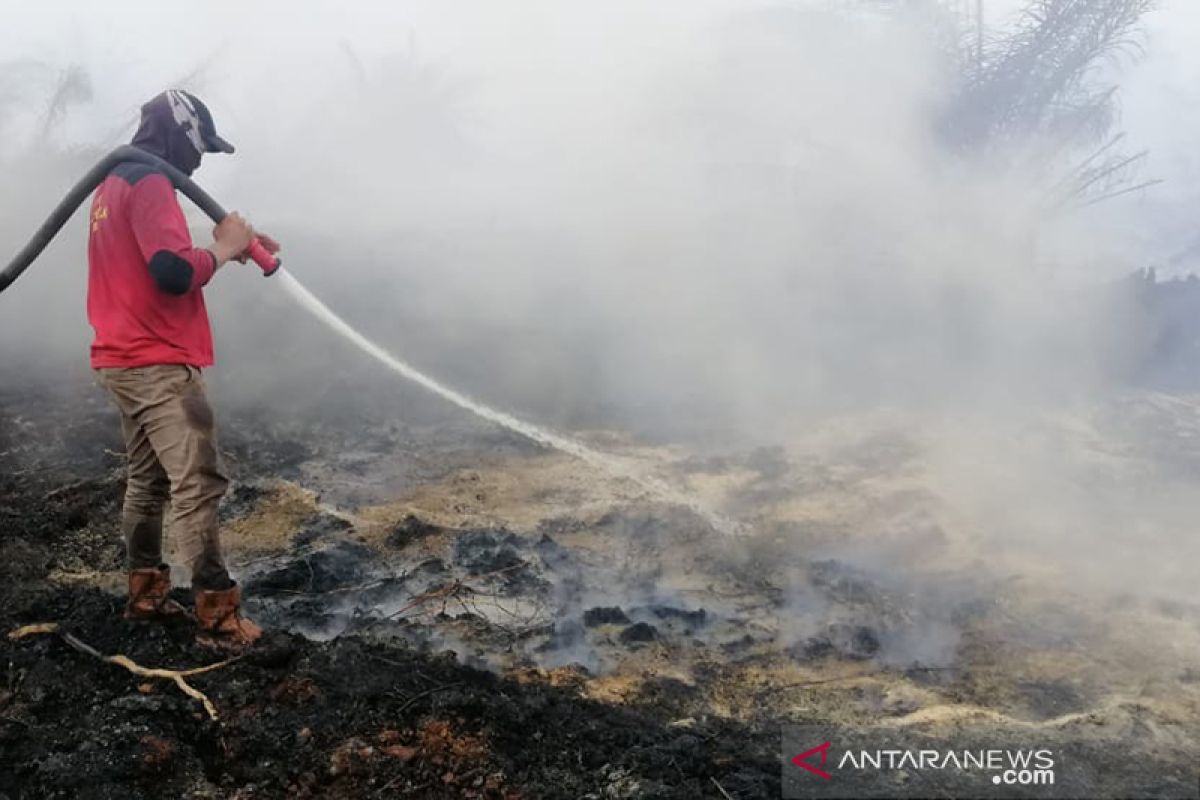 Lahan gambut di sekitar sumur minyak BOB BSP di Siak terbakar, begini penanganannya