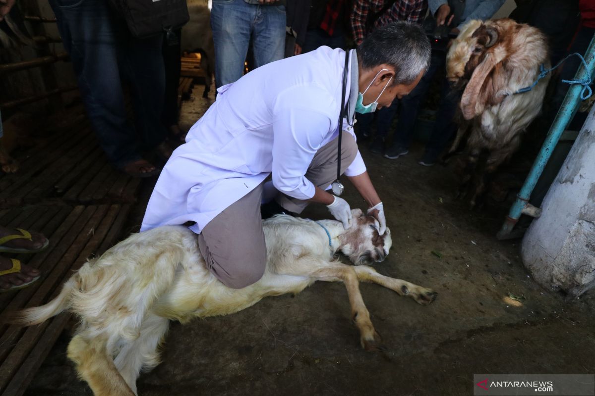 Pakar: Konsumsi daging berlebihan bisa sembelit