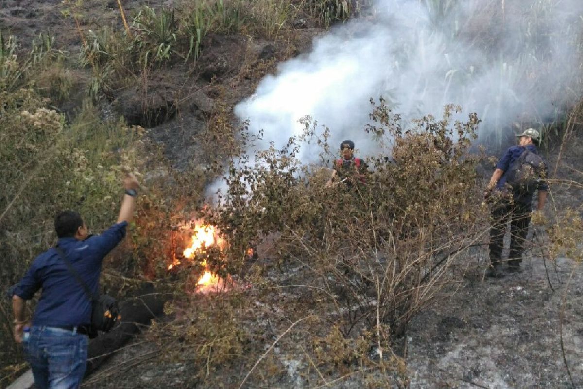 Jalur pendakian Gunung Guntur tetap dibuka untuk umum walau kebakaran hutan