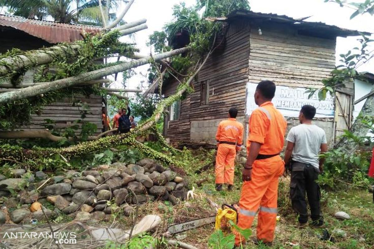 Angin kencang porak porandakan rumah warga Padang