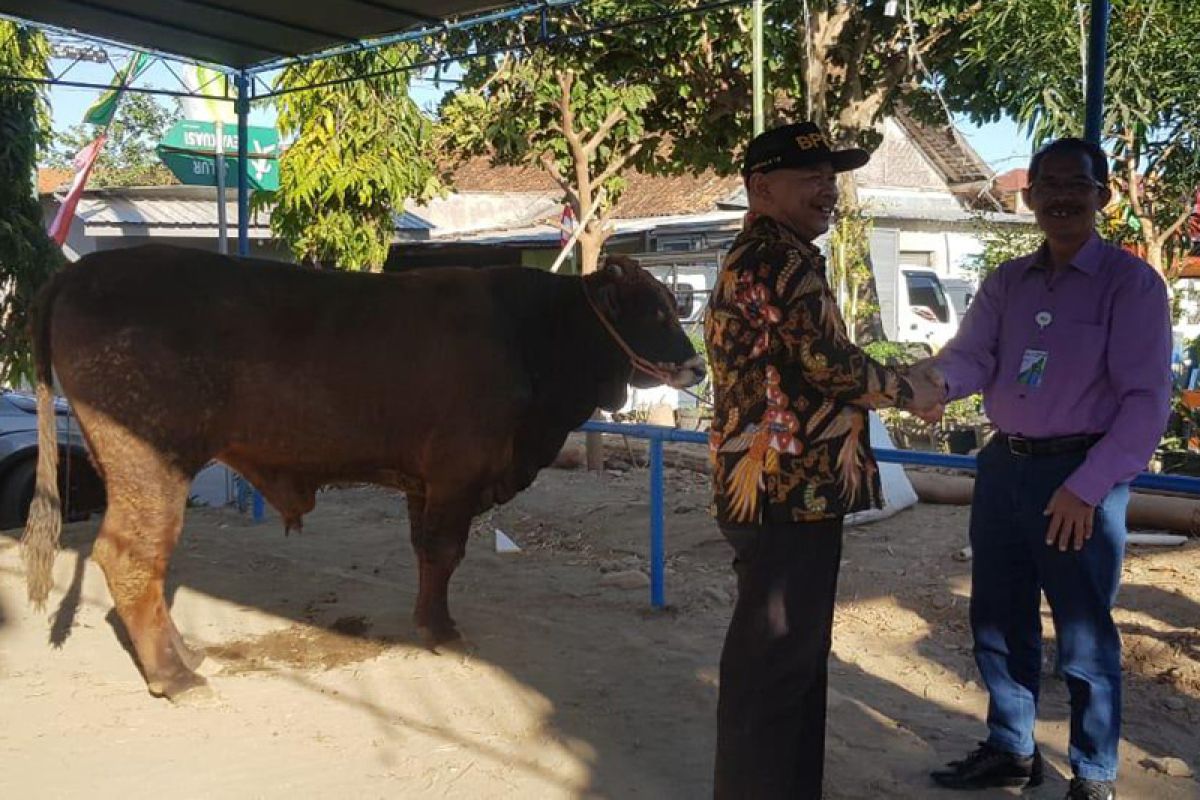 BPJS Ketenagakerjaan Yogyakarta berbagi kurban bersama warga