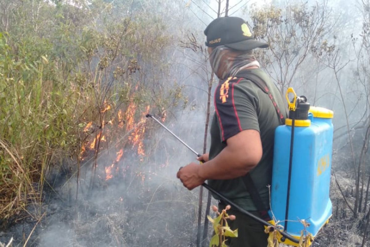 Hutan semak-semak Way Kambas sabtu siang terbakar