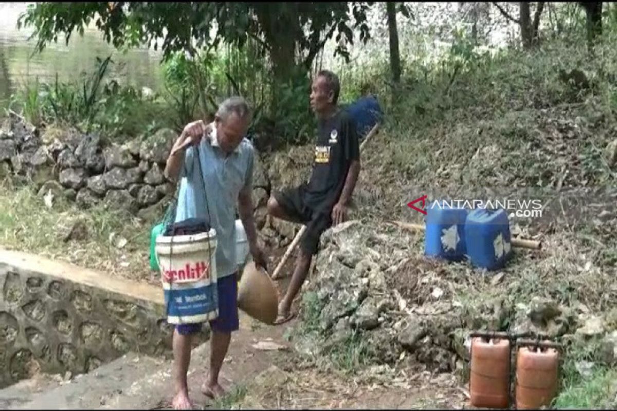 Untuk beli air, peternak Gunung Kidul mulai jual hewan ternak