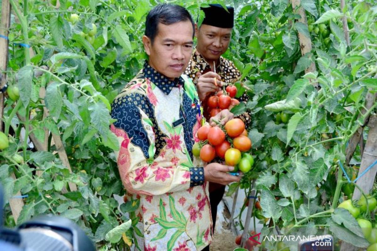 Ciptakan peluang pasar pertanian, Boyolali gelar Agro Expo