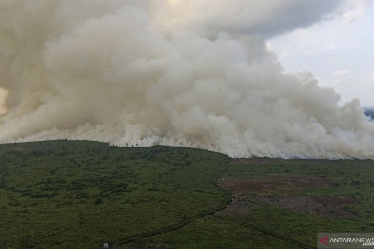 Bupati Musi Banyuasin  pantau Karhutla di Desa Muara Medak