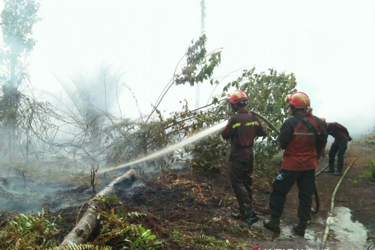 Padamkan kebakaran di Siak, Tim Sinar Mas seminggu lebih tak pulang