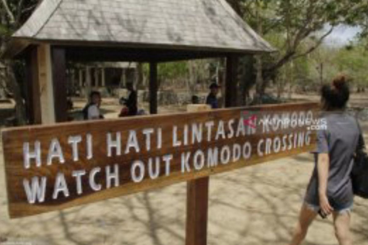 Pemerintah akan evaluasi harga tiket masuk Pulau Komodo