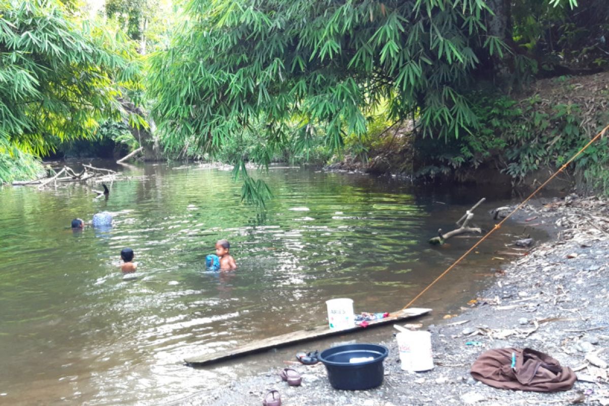 Pengobatan "herbal ajaib" dari rimba Kalimantan