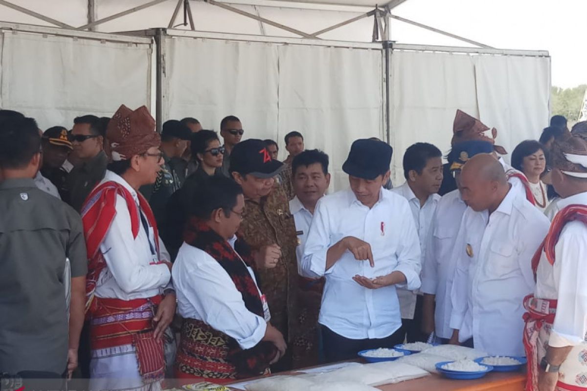 Presiden tinjau tambak garam di Desa Nunkurus