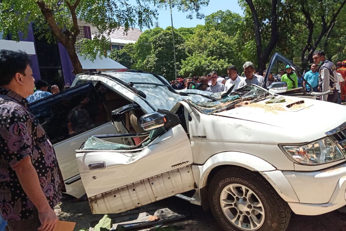 Pohon tumbang timpa Isuzu Panther yang ditumpangi suami istri, satu tewas