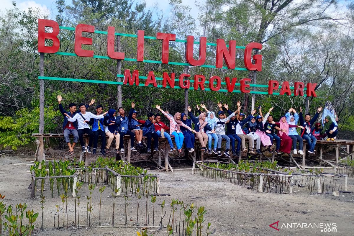 SMN Sultra kunjungi Belitung Mangrove Park