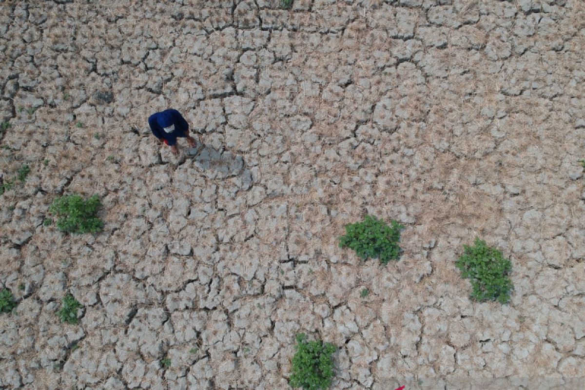 ACT bantu pemasangan pipa air bersih di Bojonegoro