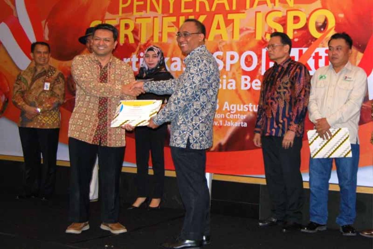 Sukses kelola perkebunan, PT GBSM dapat sertifikat ISPO dari Kementan