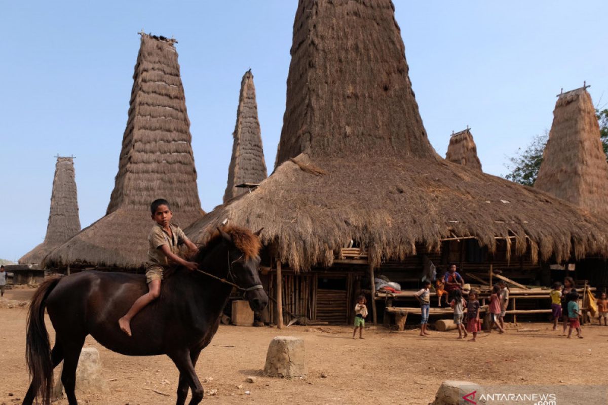 Tak ada korban kebakaran kampung adat di Sumba Barat Daya