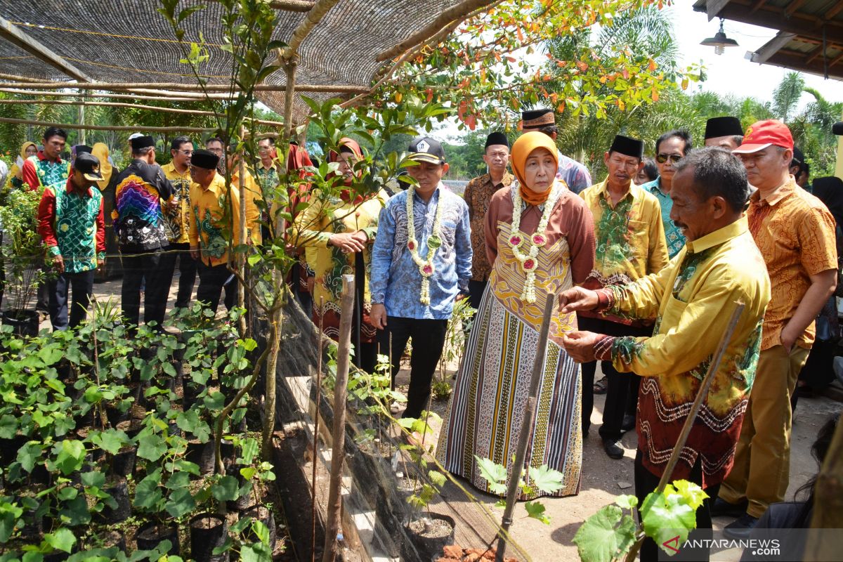 Mantan anggota DPRD kembangkan bisnis agrowisata