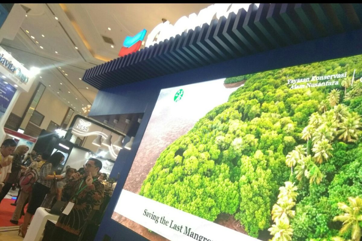 IPA Convex 2019, Chevron paparkan program penyelamatan mangrove