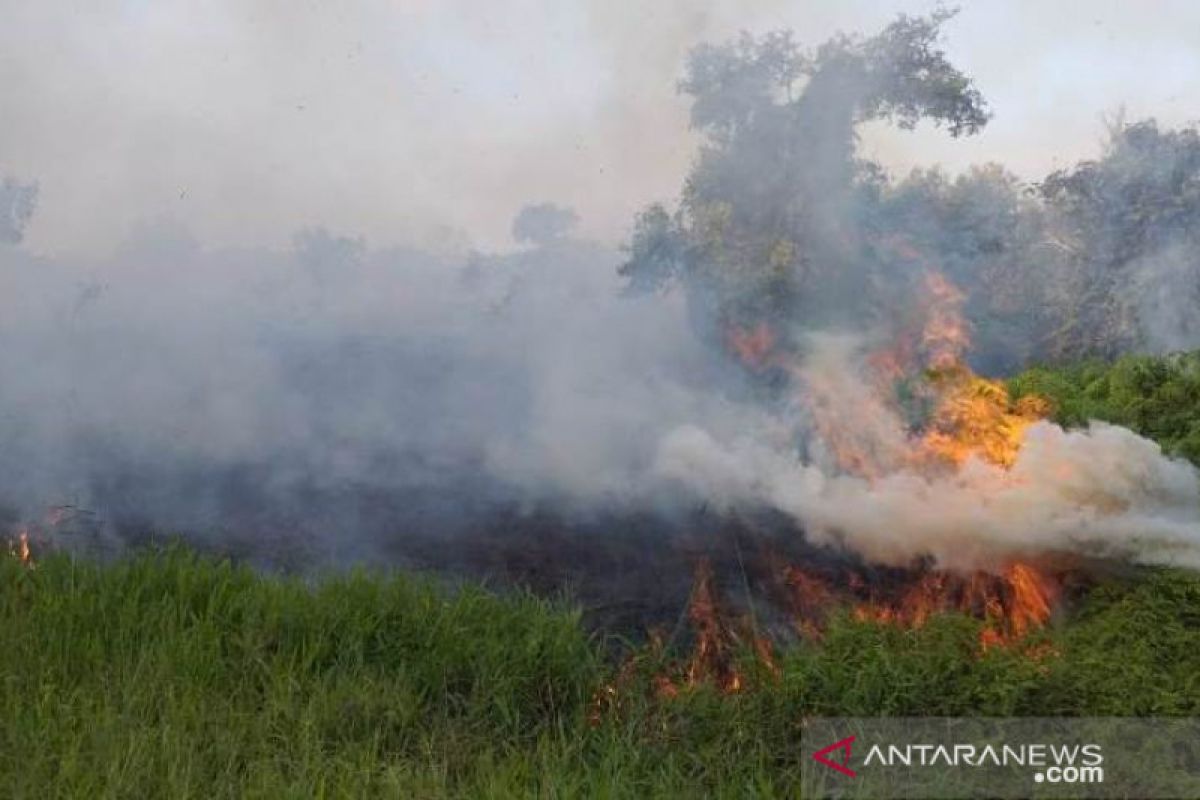 103 titik panas di NTT berdasarkan hasil deteksi Lapan