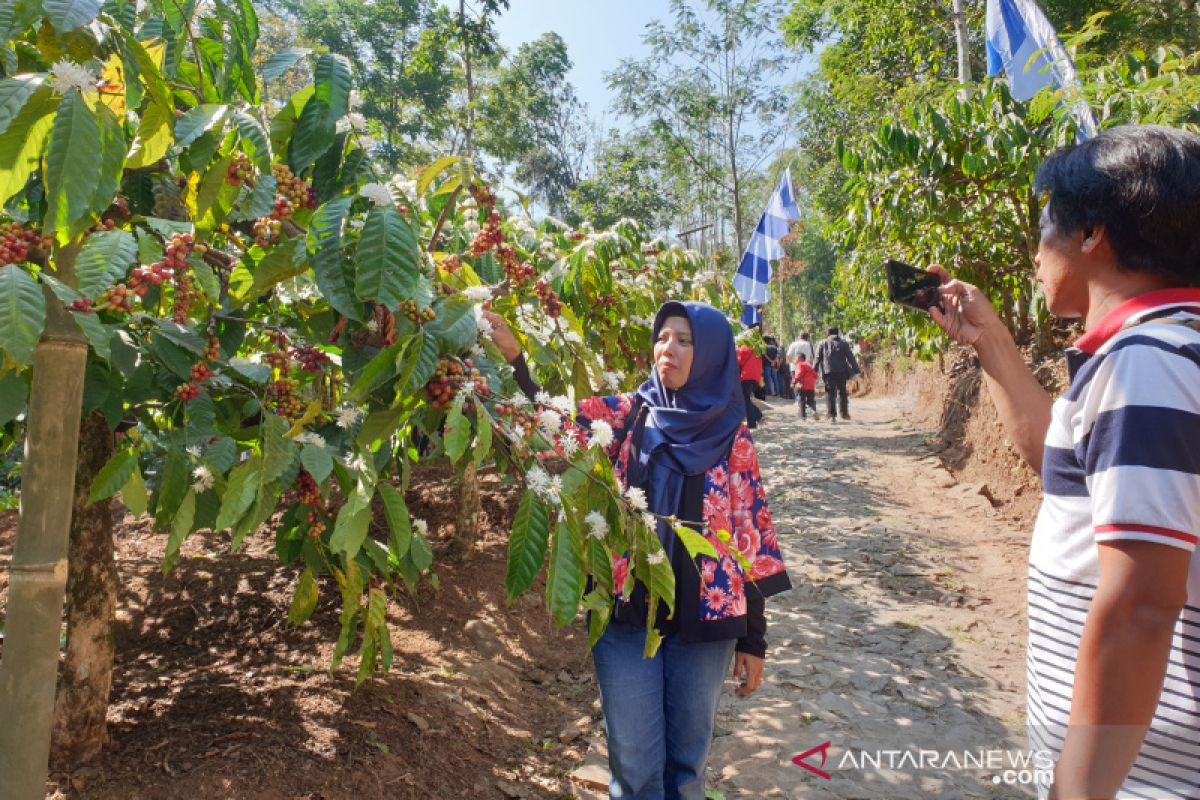 Geliat ekonomi Desa Wisata Doesoen Kopi Sirap