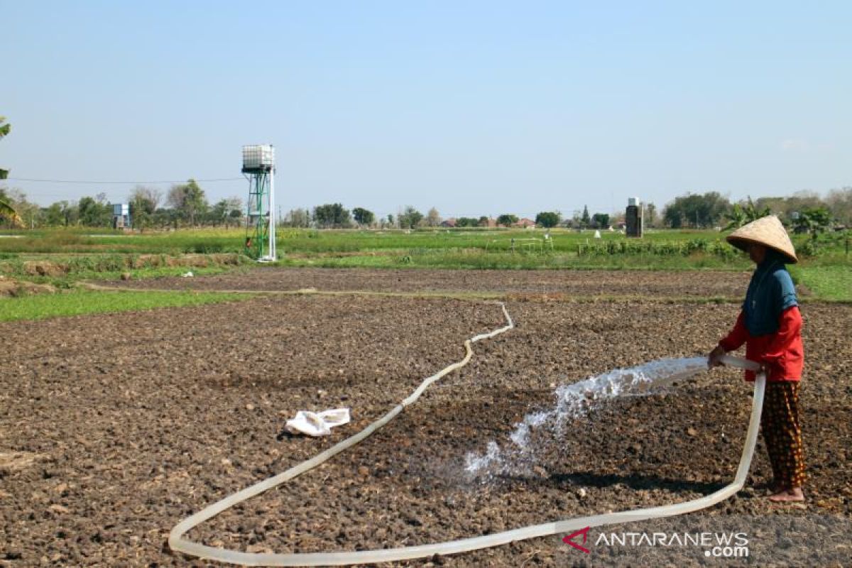 Kekeringan, petani bikin sumur bor berbiaya Rp5 juta