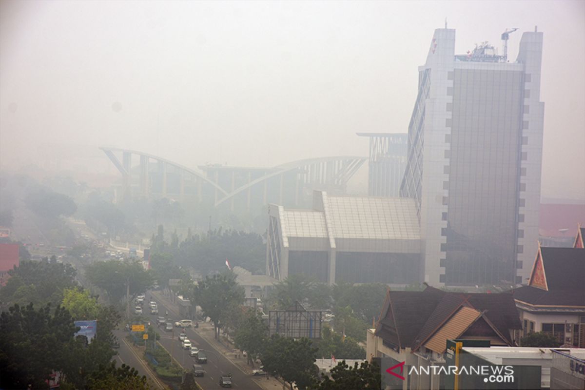 Asap Karhutla Pekanbaru semakin pekat, jarak pandang hanya 800 meter