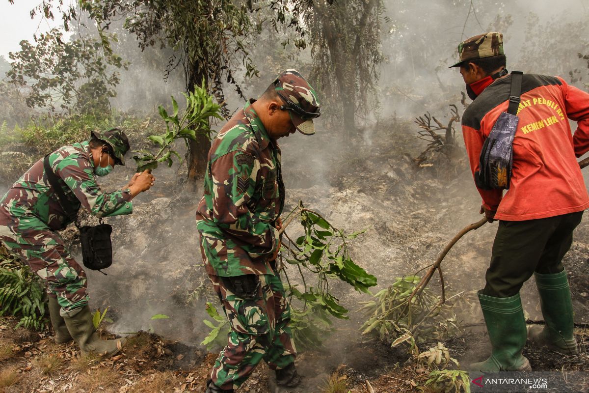 Karhutla Riau - Berusaha padamkan api, kakek di Inhil tewas terbakar