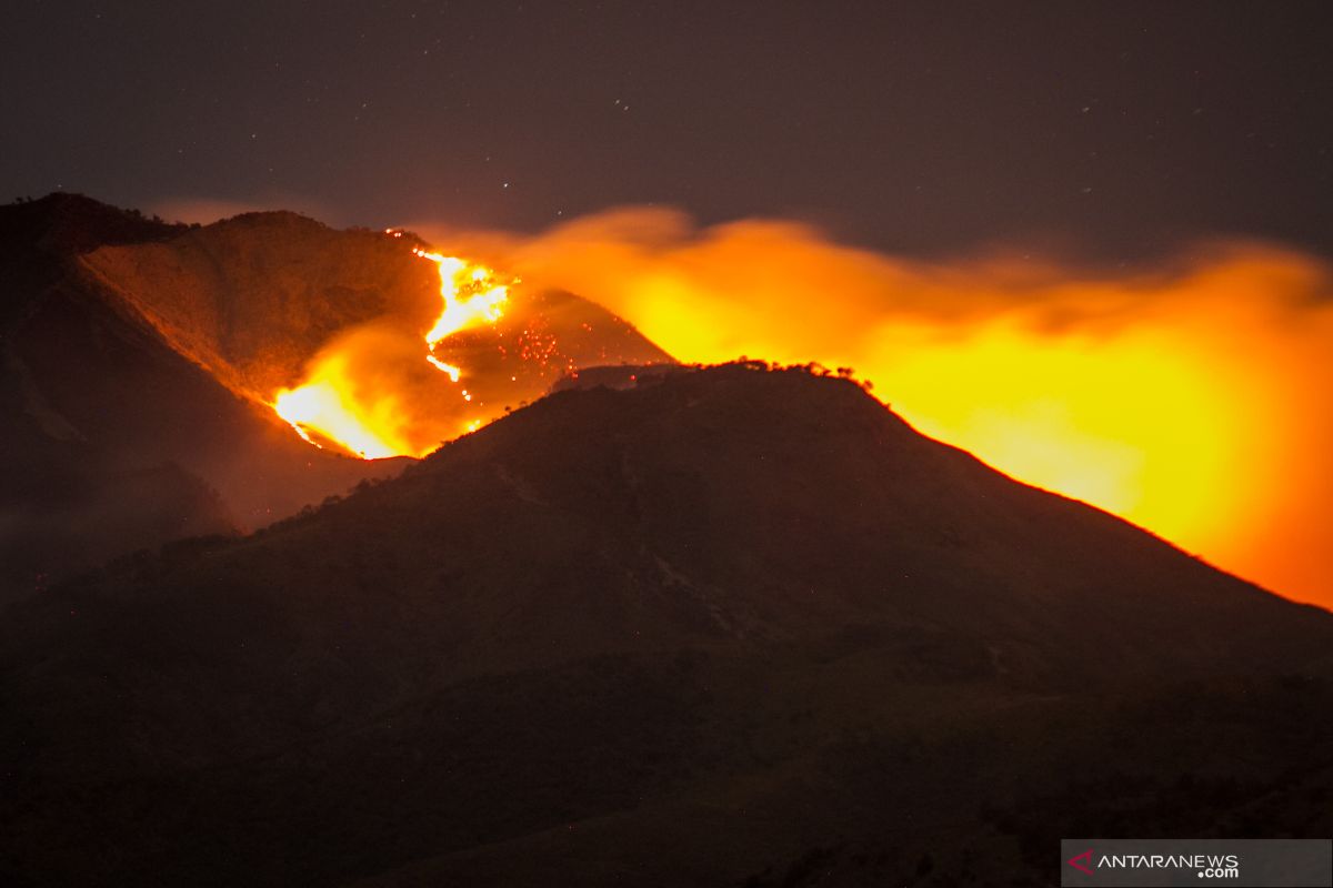 Ganjar minta sukarelawan antisipasi kemunculan titik api di Gunung Merbabu